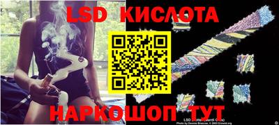 дживик Кингисепп