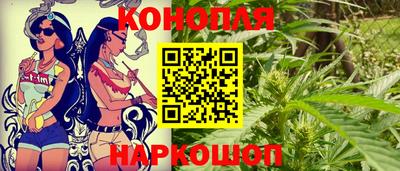 дживик Кингисепп