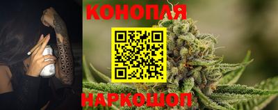 дживик Кингисепп