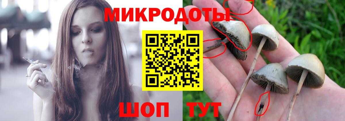 Красноуфимск  Псилоцибиновые грибы мицелий  Вход с VPN 